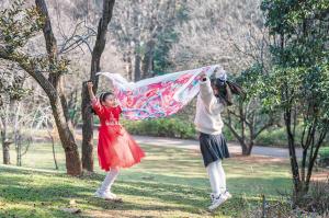 昆明冬日绿意暖