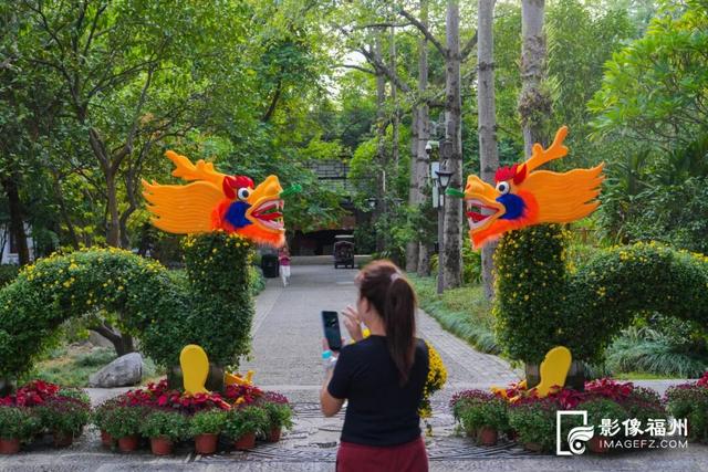 来啦！福州人等了一年的金秋雅事，本周开幕