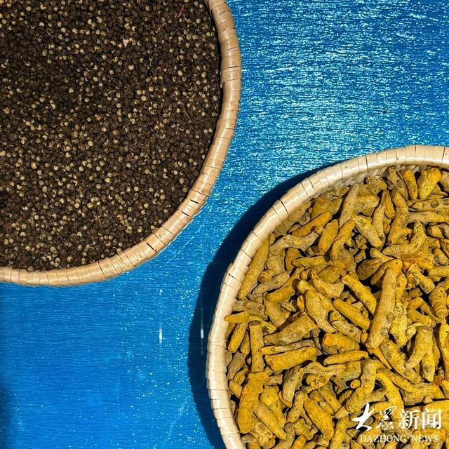 探访宝藏小城｜乐陵：在游客脑海里奏响影视“BGM”