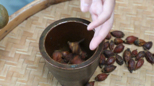 秦始皇的长生秘方？中式解暑“果冻”龟苓膏的七步制膏法