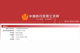 911万元！哪吒汽车成被执行人，此前CEO张勇“下课”图片