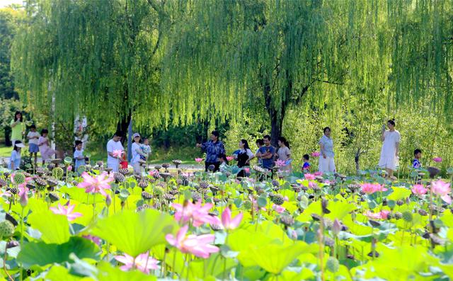 宁陵口袋公园绘就市民幸福画卷