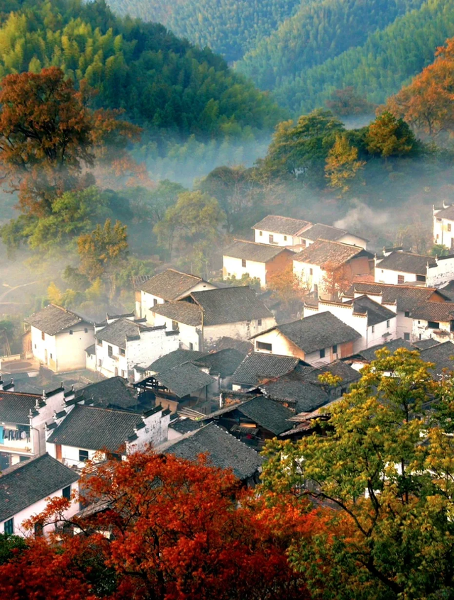 全城甜蜜！上饶的秋日甜到你心间