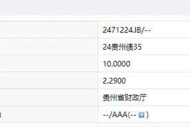 置换存量隐性债务！11月多地披露再融资专项债券发行计划，单日最高计划发行规模达3629亿元图片