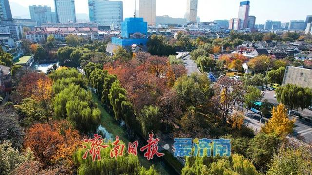 一年四季 泉在济南丨济南护城河初冬景如画 游人打卡赏斑斓