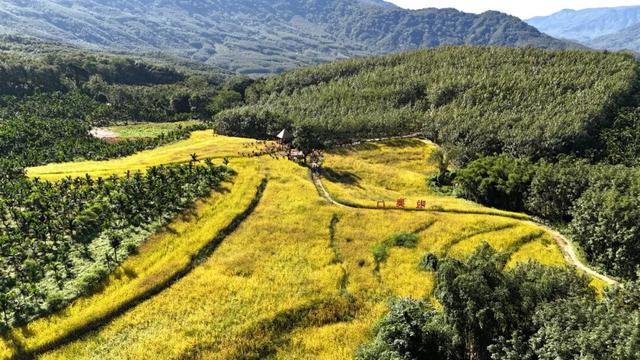 11月29日开幕！轻松get白沙“啦奥门”，戳进来看9大活动↘