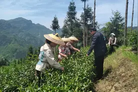 湖南农行“助困”行动，以金融温度融解困顿寒冰图片