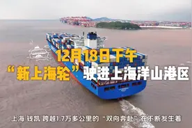 钱凯⇌上海双向贯通！更“新鲜”的秘鲁水果来了图片