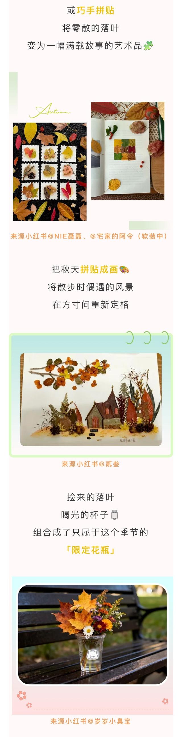 最美松湖｜烦恼No，捡秋Go！来这里一键切换治愈模式