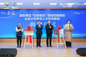 以专业社会工作服务助力经济社会高质量发展，浦东新区第十八届社工节举办图片