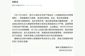 用铁锨驱打大熊猫，涉事饲养员被辞退图片