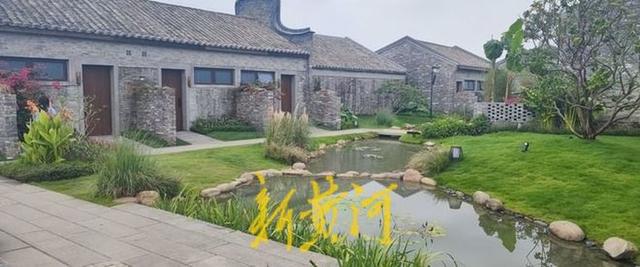 沉睡古村变身文旅新地标，泰康罗浮山下“耕”出新活力