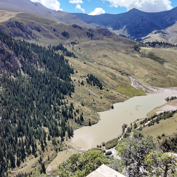 历时一年半，终于可以免费了