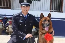 送别！工作“零失误”的警犬“黑泽”走了……图片