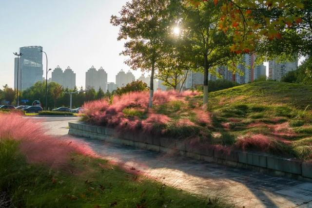 宜兴，一路斑斓！