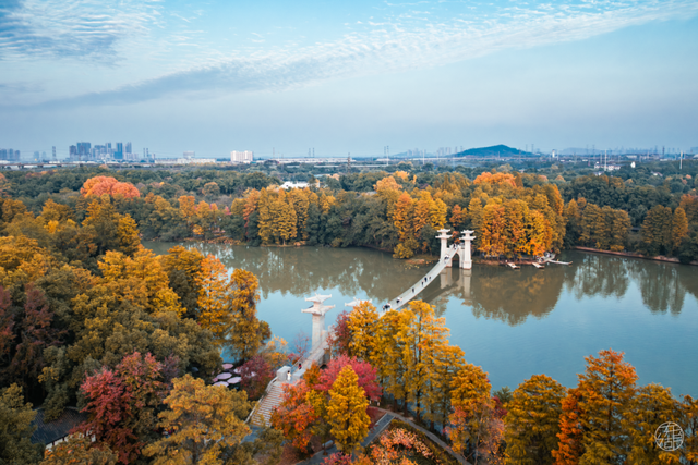 天晴了，去落雁过秋天！