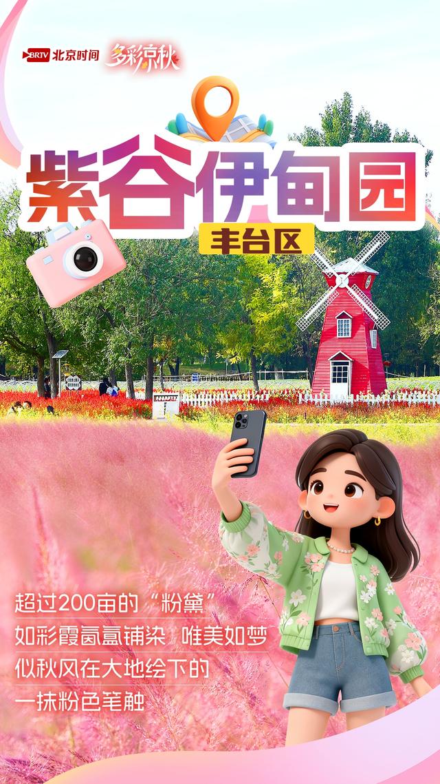 北京6大粉黛花海正盛放！美到窒息，再不去就晚了