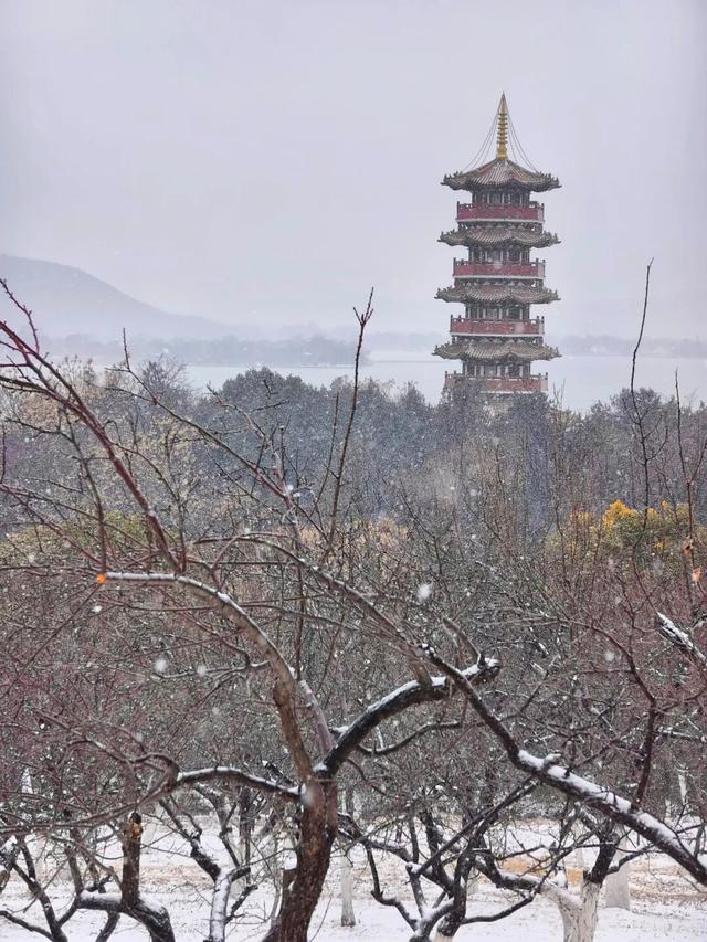 看！徐州最美雪照，每张都可做屏保！