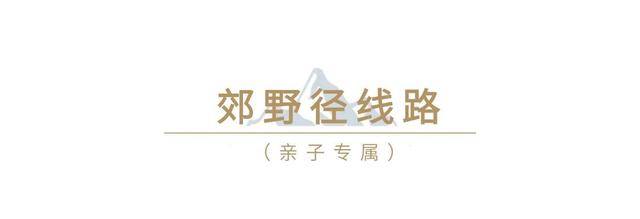 龙华宝藏亲子徒步路线，一篇汇总→