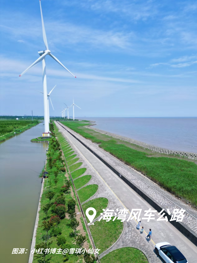 藏在奉贤的神仙自驾线！1天打卡古镇、森林、蓝海……人少出片到内存爆炸！