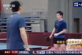 樊振东陈梦发声，多个协会表态！畸形“饭圈文化”当休矣图片