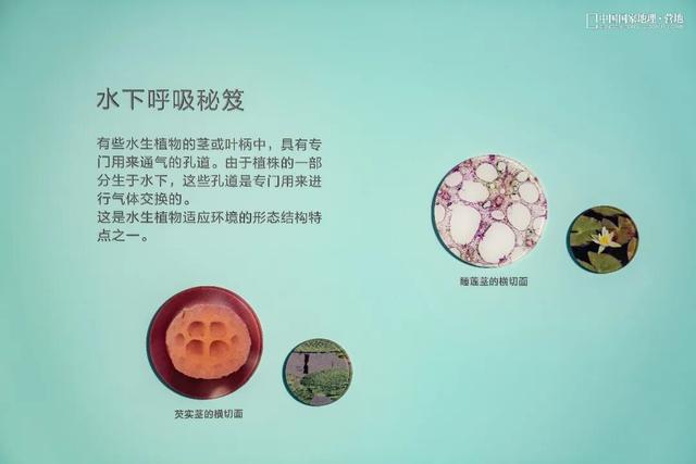 阳山自然驿站矩阵落成，全域科学体验线路启用