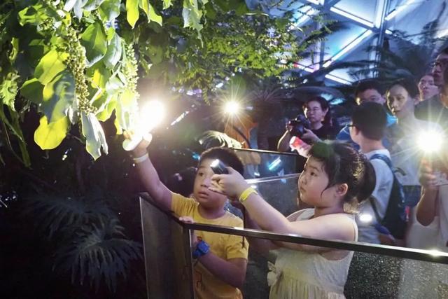 从文博“不眠夜”到全域“沉浸式体验”！发现夜上海的N种可能