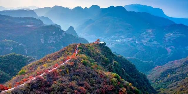 亮相央视！洛阳这些赏秋地，太美！