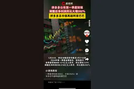 “抢班夺权”的拼多多，让阿里京东重新审视自己|商战2024③图片