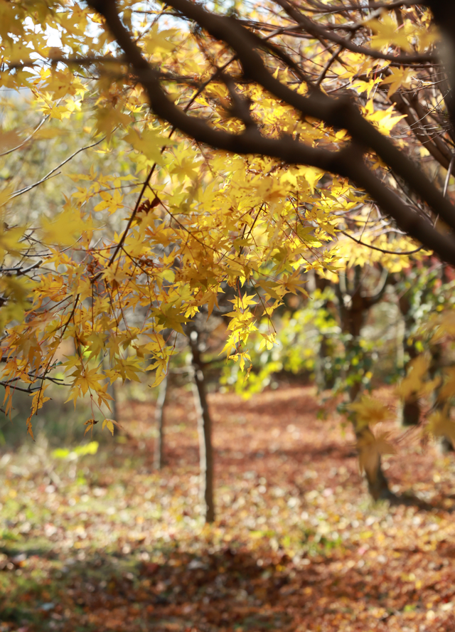 Hi走奉化① | 来栖霞坑，奔赴一场唐诗之路的千年约会吧！
