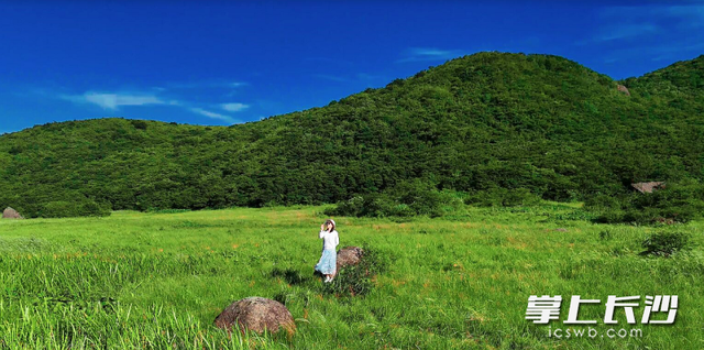 风裹竹香水带甜，在大围山寻一份盛夏清凉