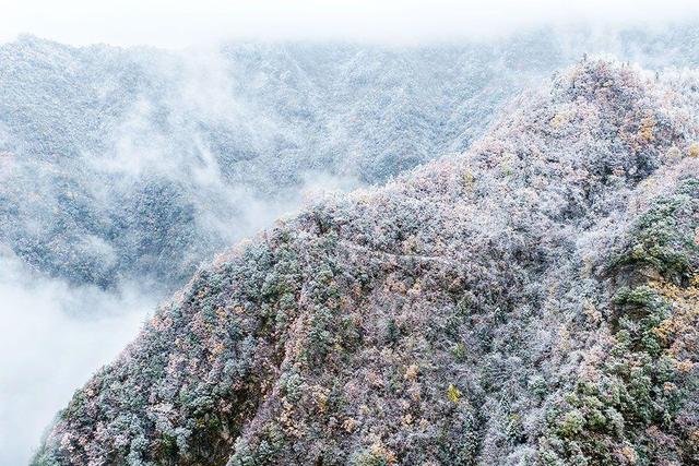 恩施巴东：雪吻秋山云海织锦
