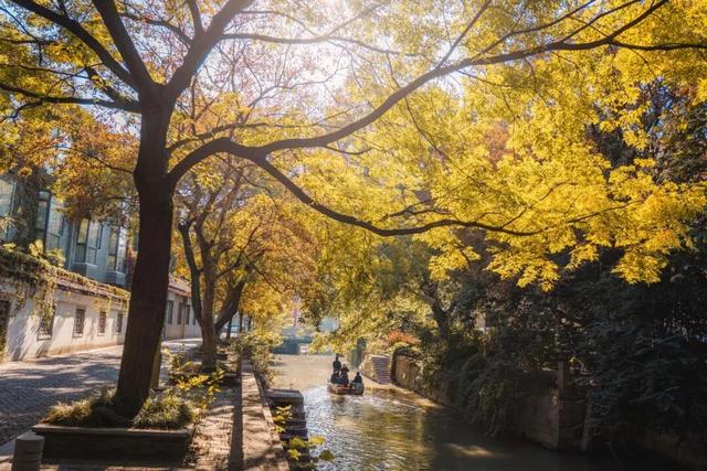 嘉定州桥老街，深秋的画卷正徐徐展开