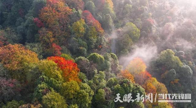 天眼影像丨看层林尽染 在宽阔水邂逅最美深秋