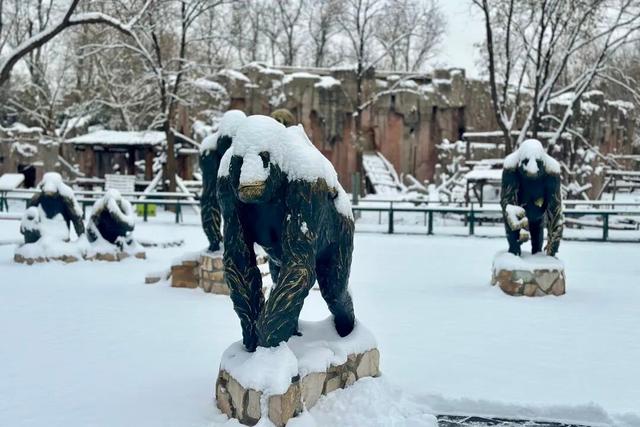 北京全城等雪来！故宫约不上？这些地方随手一拍也是大片——