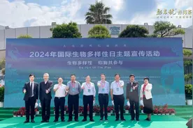 唯一茶企！守护生物多样性，“班章名片”再出发图片