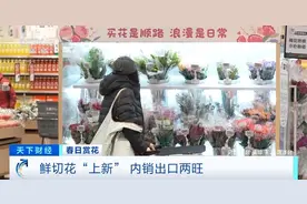云南鲜花实现韩国次日达！春日鲜切花陆续“上新”，内销出口两旺图片