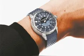 LVMH任命腕表部门新CEO图片