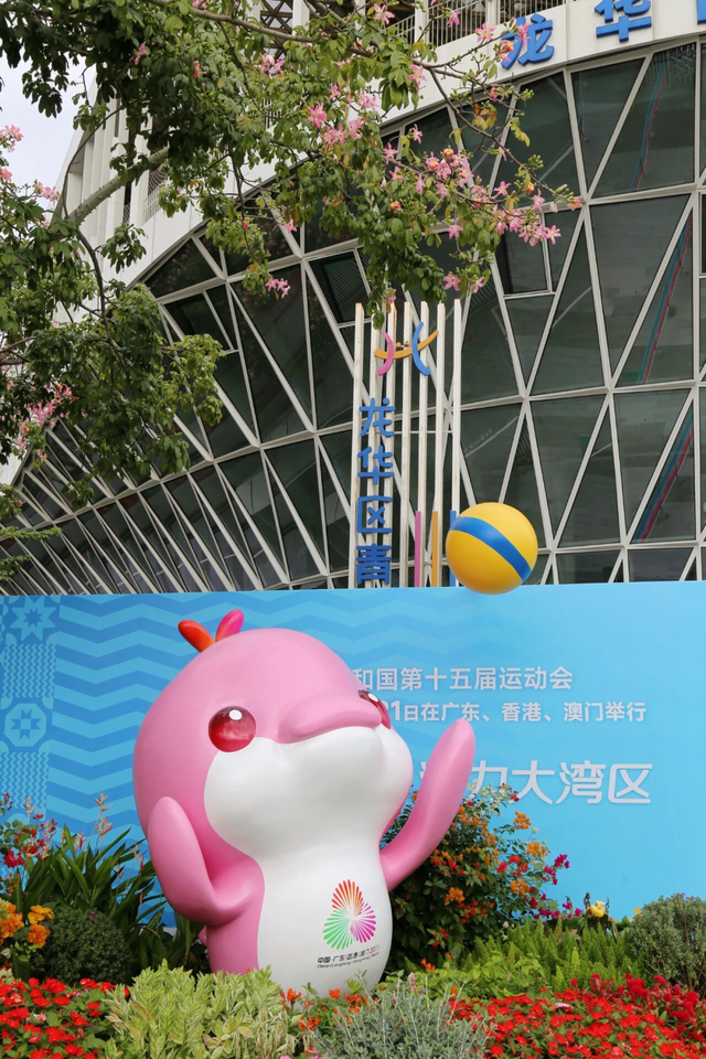 转角遇花海，深圳一地被“挤爆”！网友：怎么拍？求赐教