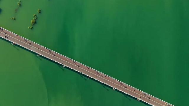 快出门！这些全是洛阳冬日限定！