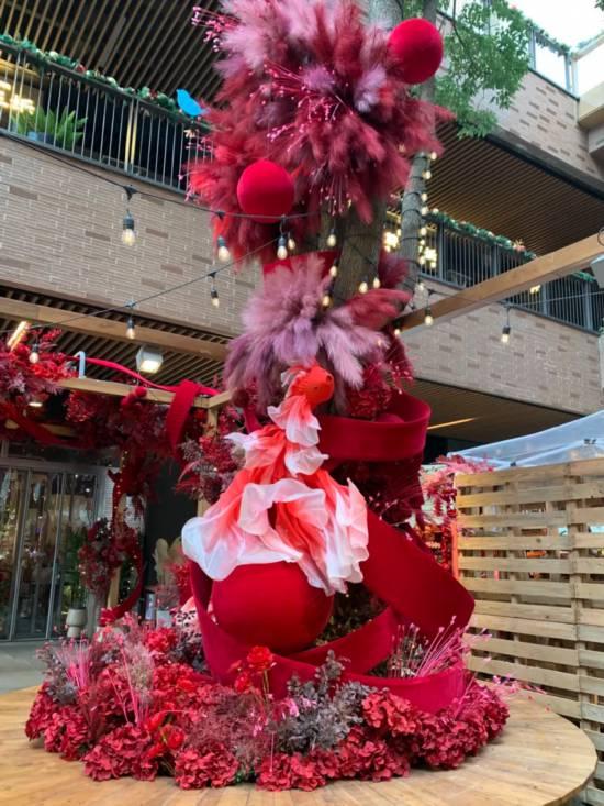 2026沪上年宵花市开逛！“花”式逛出新年味