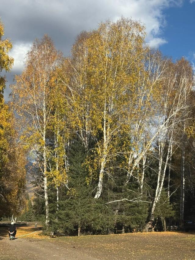 “道路就是生活”——给豆儿的信