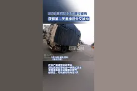 司机非法运输烟花爆竹被拘，获释第二天重操旧业又被拘图片