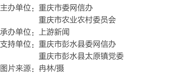 渝见好“村”光 | 苍山幽谷：彭水县太原镇区阳村