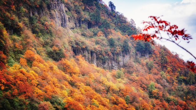 秋天徒步去哪儿？必须来趟【免门票】的瓦屋山！