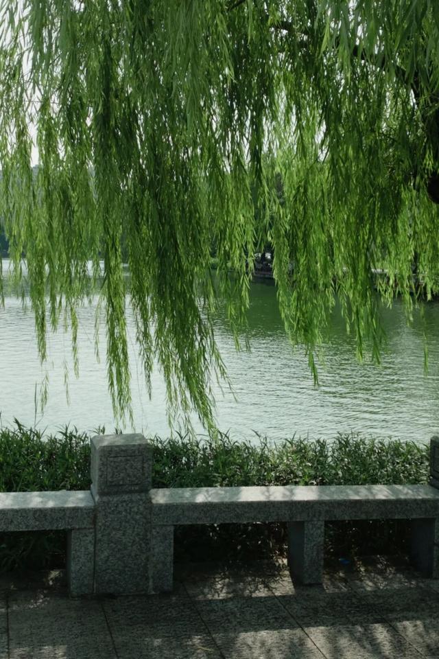 除了看菊花展，福州西湖公园还能怎么逛？