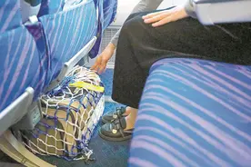 又有一家航空公司推出“爱宠进客舱”服务 为携宠舒适出行算笔账图片