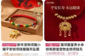 “富贵”宠物圈火了！长命锁、平安扣，“毛孩子”过年要穿金戴银图片