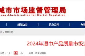 山东省聊城市市场监管局发布2024年湿巾产品质量市级监督抽查结果图片