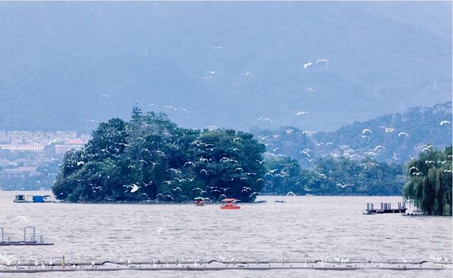 看比赛,游星湖!免票福利加码放送→